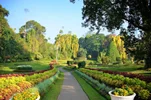 باغ گیاه‌شناسی پرادنیا رویال کندی (Peradeniya Royal Garden Kandy)