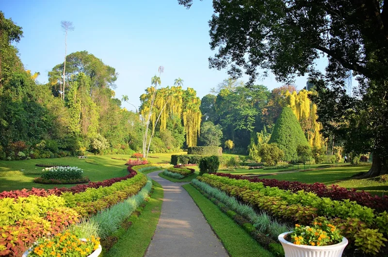 باغ گیاه‌شناسی پرادنیا رویال کندی (Peradeniya Royal Garden Kandy)