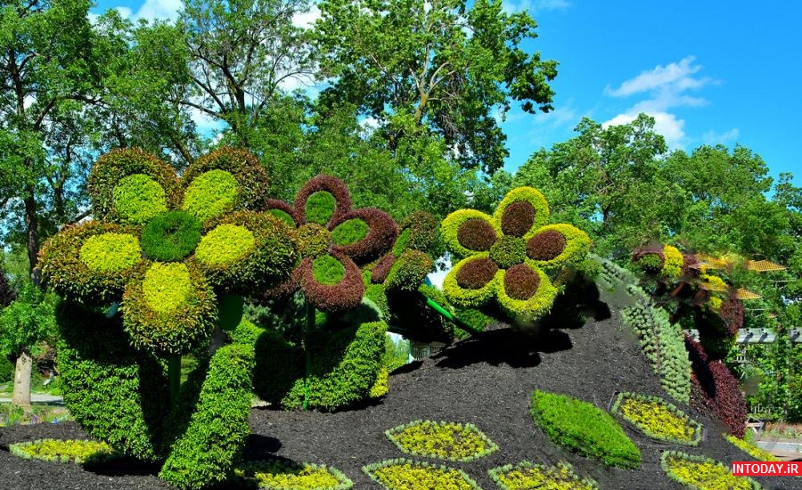 باغ گیاه شناسی تاشکند