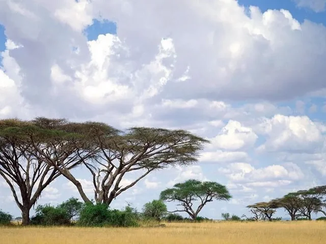 جغرافیای کنیا