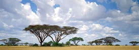جغرافیای کنیا