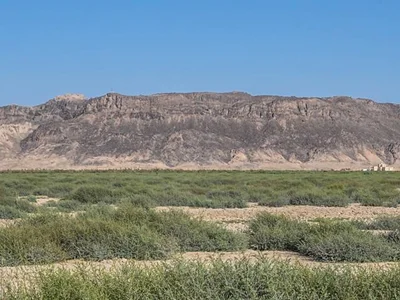 کوه خواجه سیستان